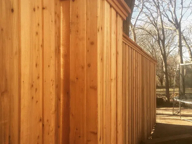 A new cedar privacy fence shot down the length of the run, with a capped and trimmed top rail